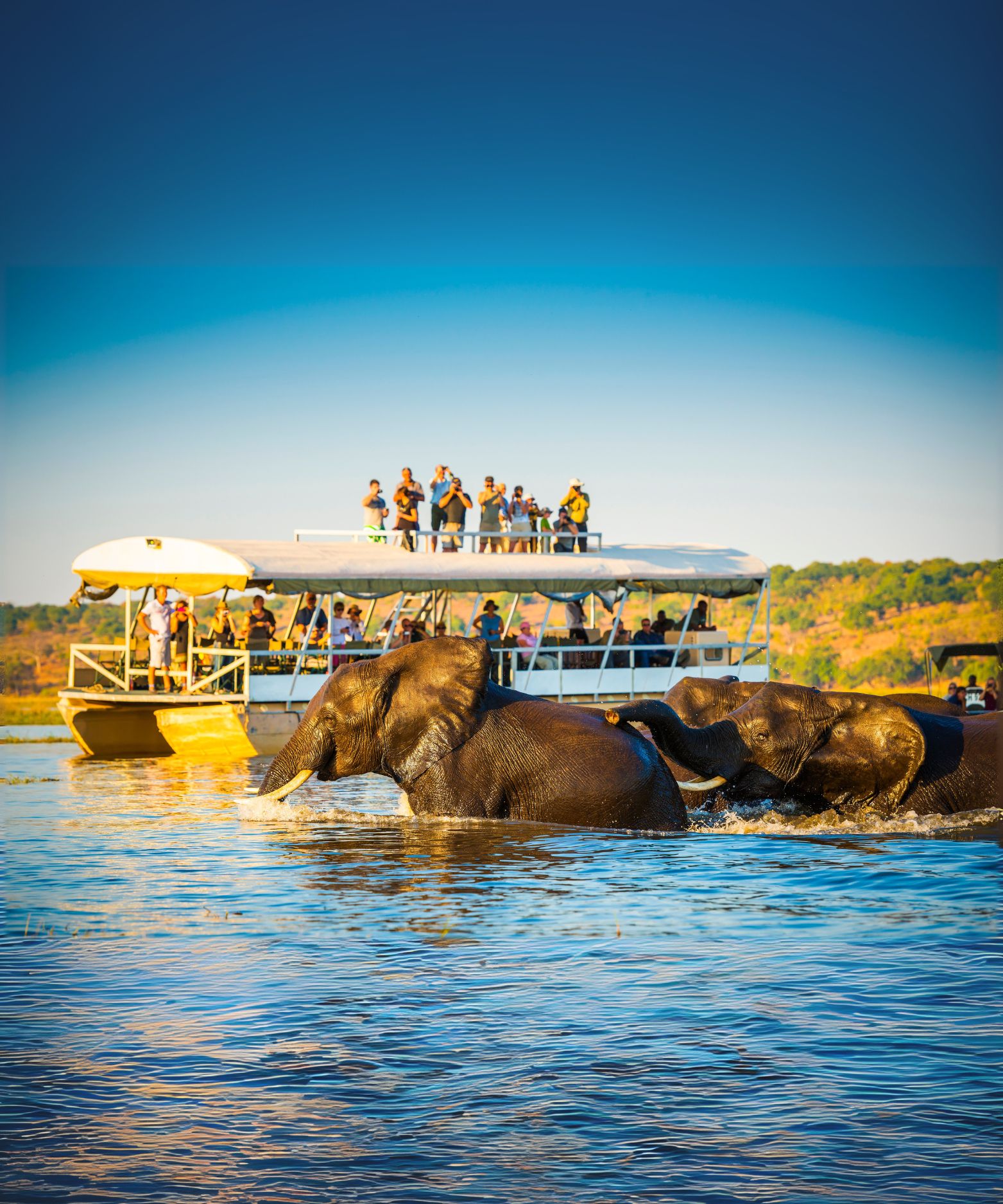 8 Day Chobe National Park Retreat